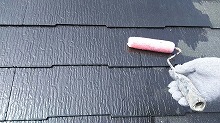 roof11